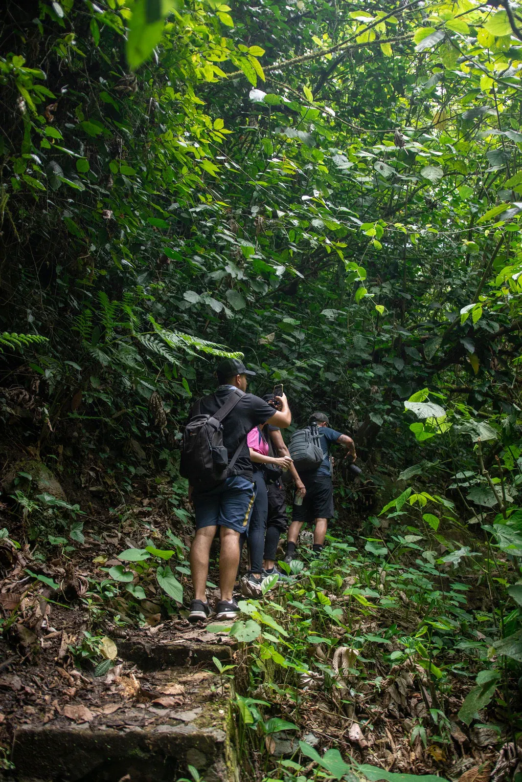 Hog Trail: A Short, Steep Forest Hike on Koh Samui