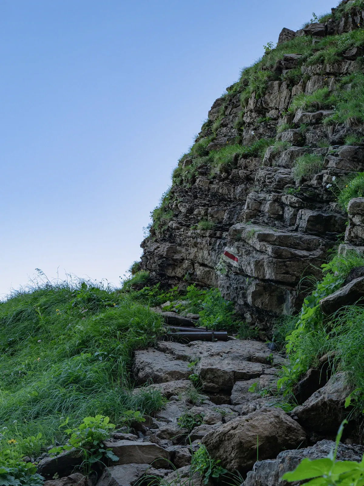 Steep rocky trail steps climbing a grassy, forested hillside