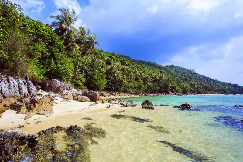 Palm-lined cove with clear water along Taling Ngam's coastline