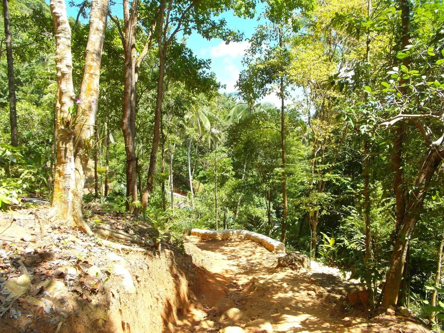 Wang Sao Thong Waterfall: Short Jungle Hike, Fees, Best Months