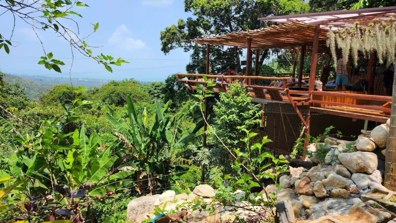 Tree Bridge Zipline, Ko Samui in 2023