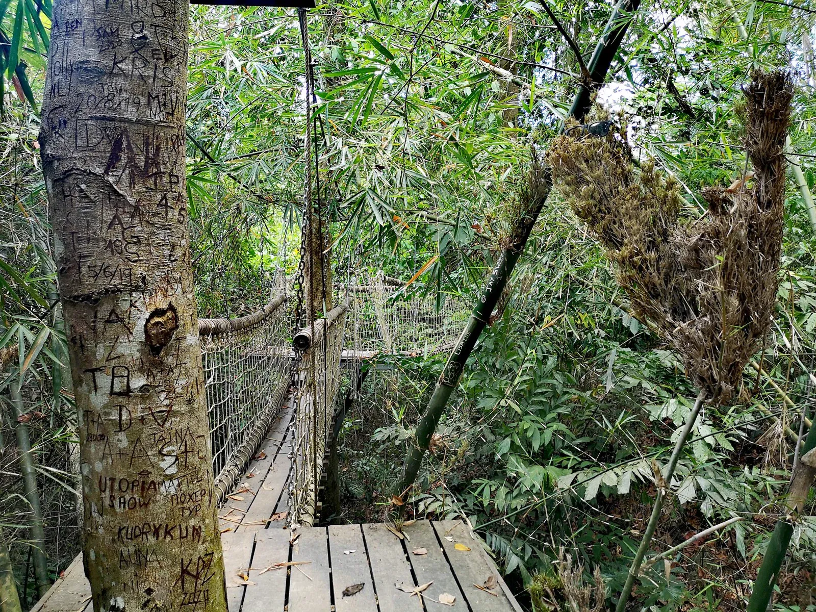 Jungle vines and boulders around Tan Rua Waterfall