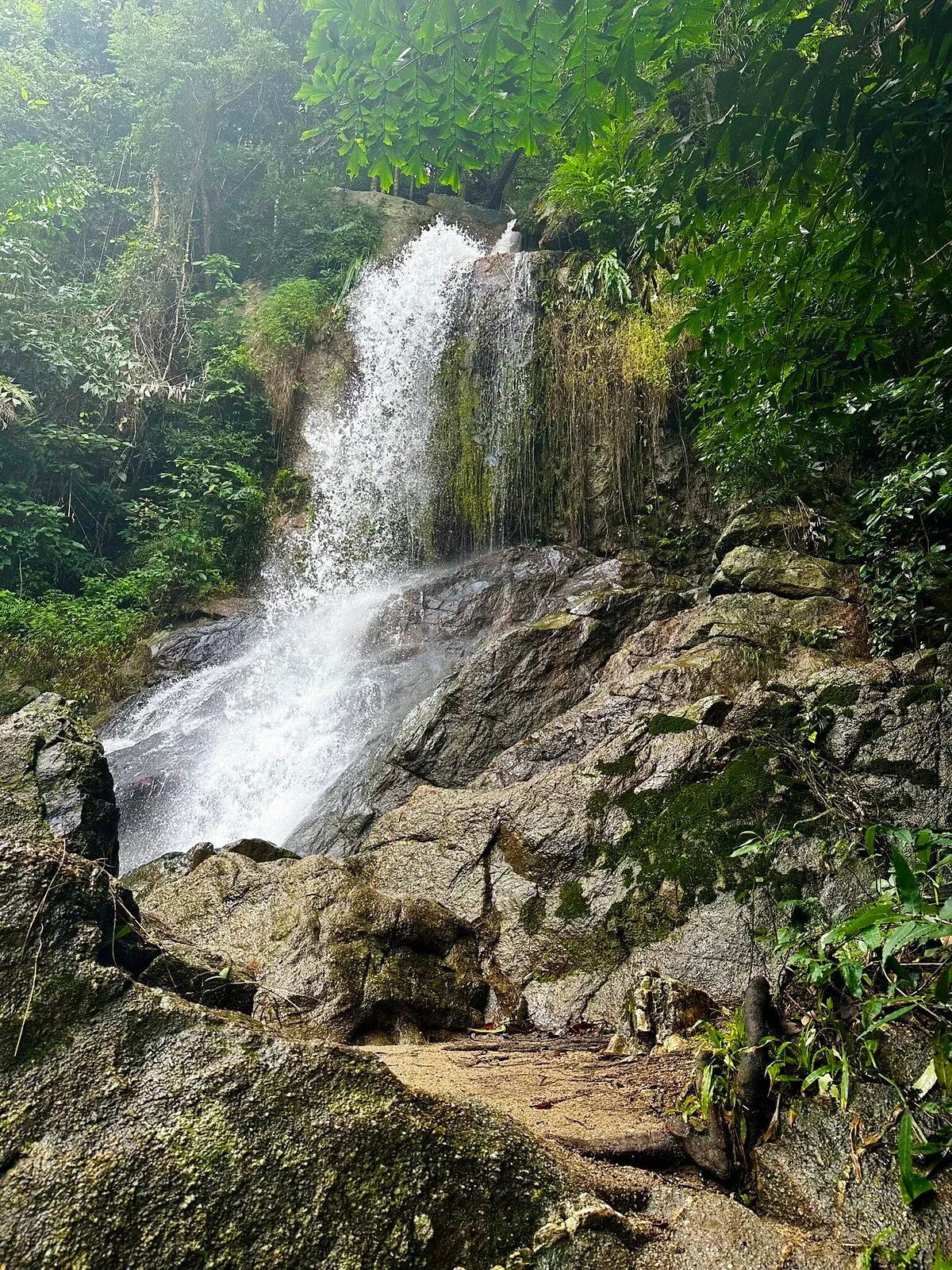 Multiple tiers of Tan Rua Waterfall descending through the ravine