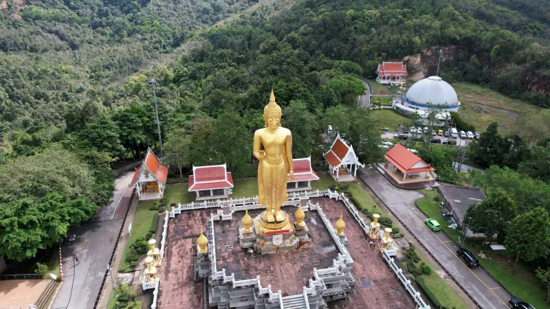 Aerial view of a golden standing Buddha statue surrounded by forest temple pavilions