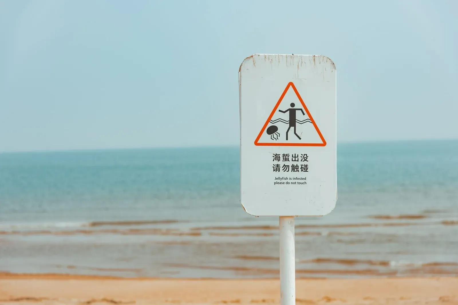 Jellyfish Koh Samui: Box Jellyfish Season, Nets & First Aid