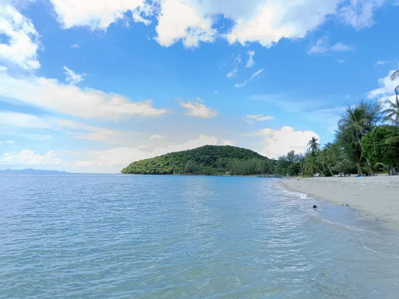 A green islet rising from calm water beside a palm-fringed beach