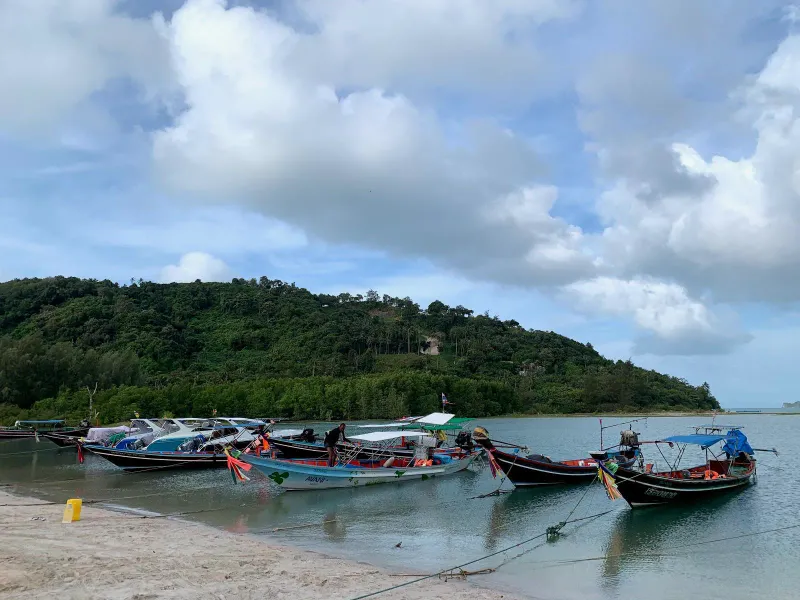 Longtail fishing boats moored near shore against a green headland