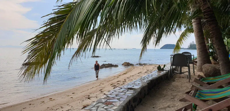 A visitor walking the shallows beneath a palm tree with a small island and boats on the horizon