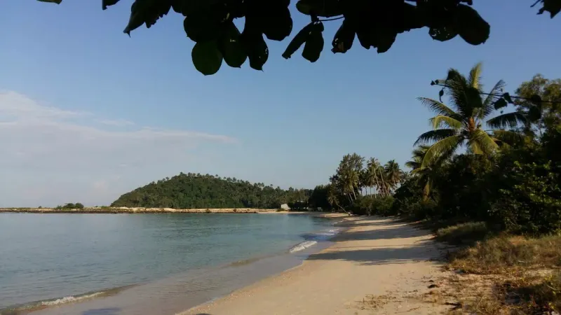 A forested islet close offshore with palm trees lining a sandy beach
