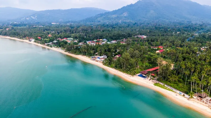 Aerial view of a long sandy bay backed by palm groves and a beachfront village on Koh Samui