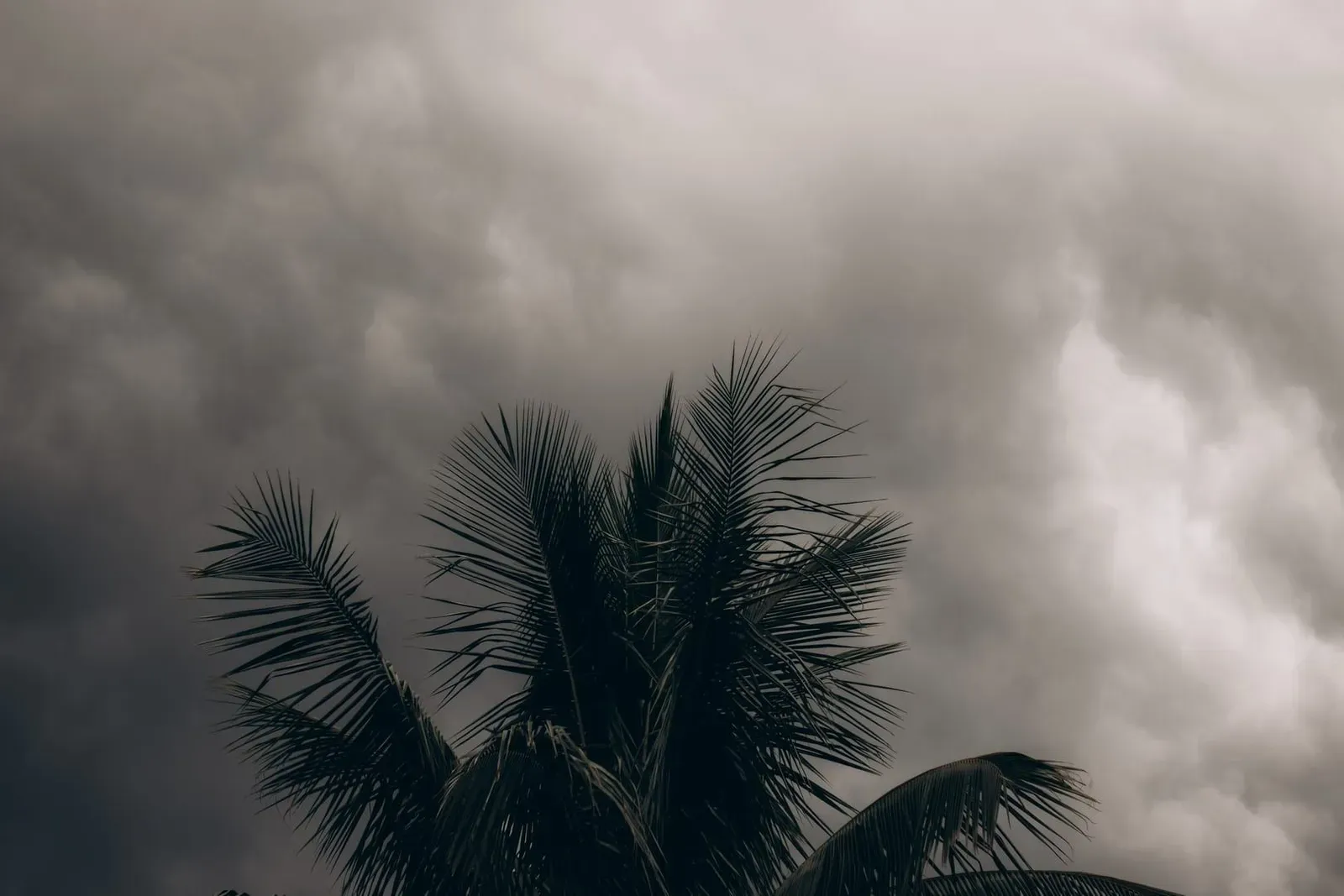 Samui Rainy Season: October to December, Wettest in November