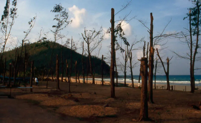 A beach resort on the Chumphon coast destroyed by Typhoon Gay in 1989