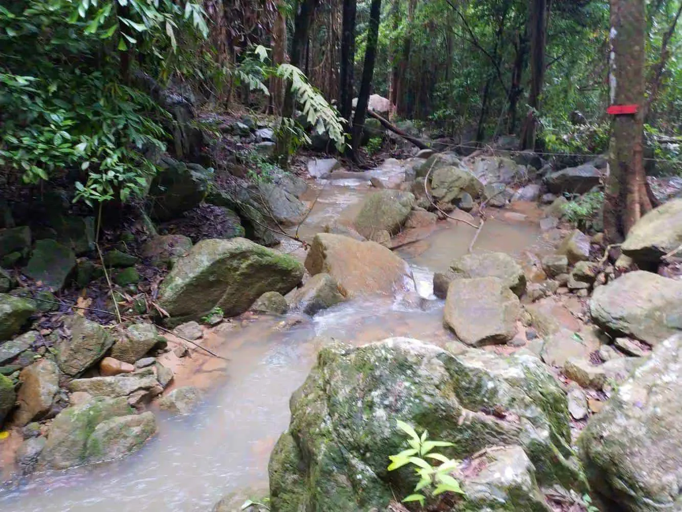 The shallow pool at the base of Wang Sao Thong Waterfall