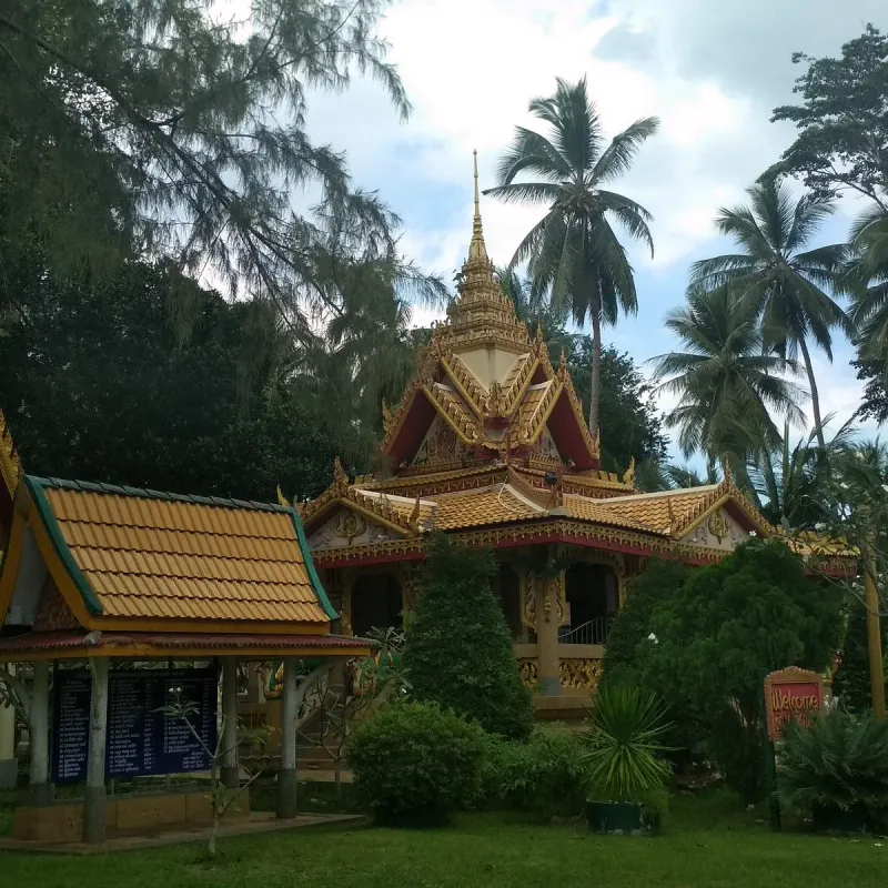Golden temple pavilion roofline framed by palm trees
