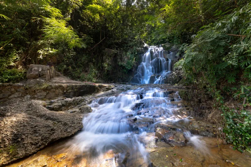 Captivating cascade surrounded by vibrant greenery and a flowing stream