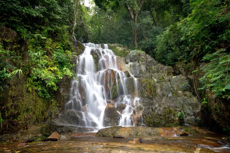 Tranquil waterfall flowing through dense forest with rocky cascades